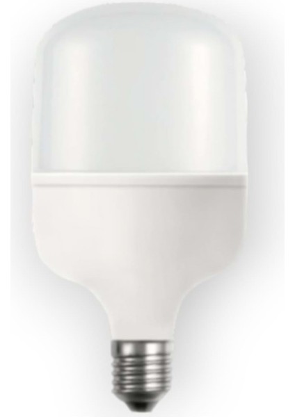 50W Torch LED Ampul ED-2940 6500K