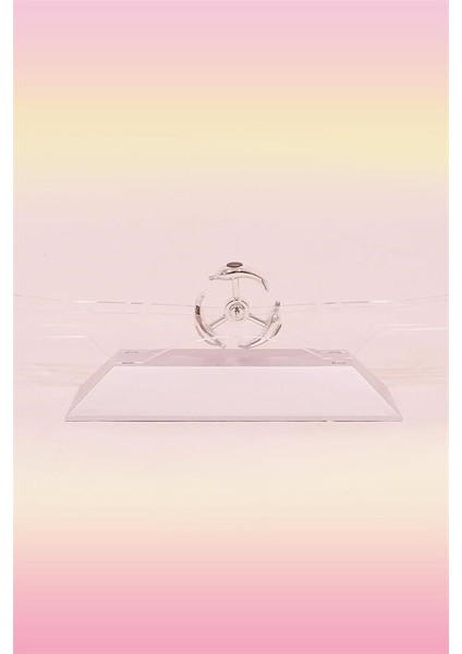 ® Dekoratif Masa Üstü Obje Manyetik Kinetik Orbital Dönen Yunuslar fırsatları