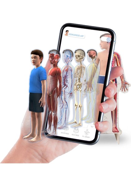 Studio Humanoid 4d+