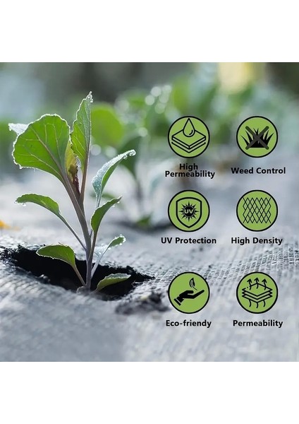 Yabani Ot Bariyer Matı modelleri