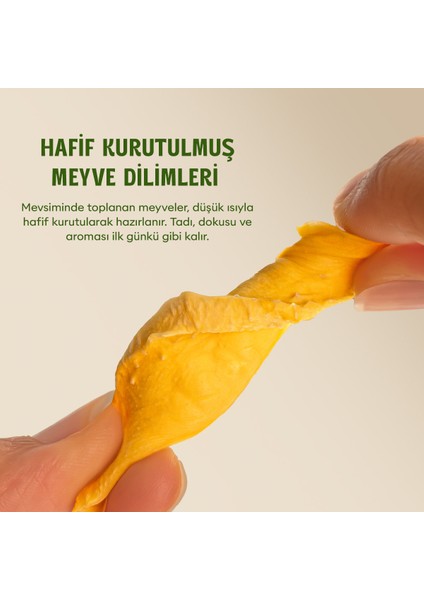 Kurutulmuş Mango - Soft Dried - Atıştırmalık Kuru Meyve 3 x 50 gr fiyatları