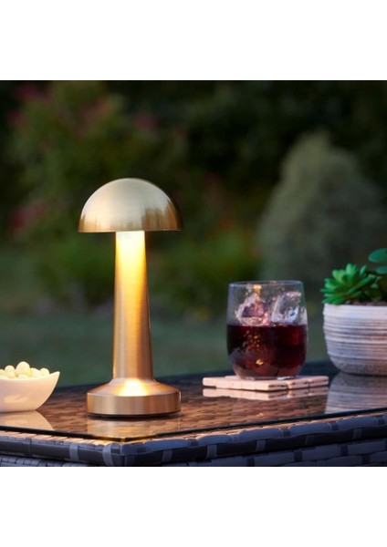 Dekoratif LED Masa Lambası MZ-327