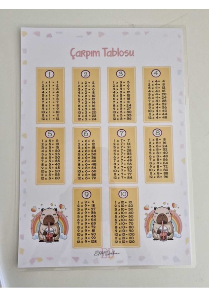 Gökkuşağı Capy Temalı Çarpım Tablosu ve Pvc Not Defteri fiyatları