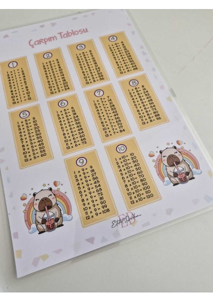 Gökkuşağı Capy Temalı Çarpım Tablosu ve Pvc Not Defteri modelleri