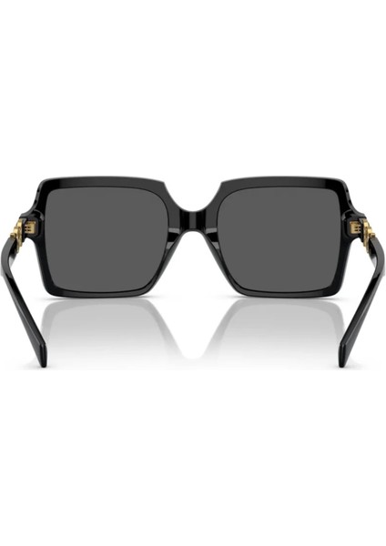 VE4441 GB1/87GÜNEŞ Gözlüğü fiyatları