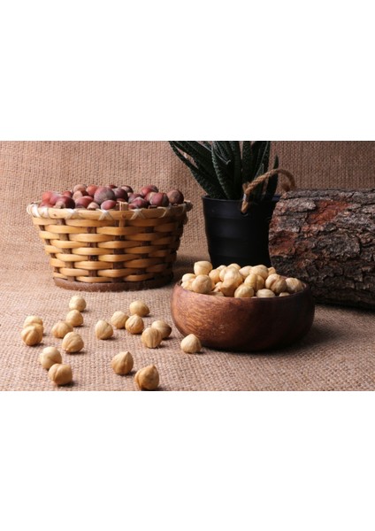 Kavrulmuş Fındık 500GR (2025 Yeni Sezon) fiyatları