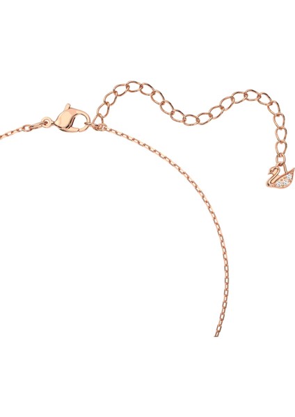 5469989 Swarovski Kolye Dazzling Swan:necklace Czmo/ros fiyatları