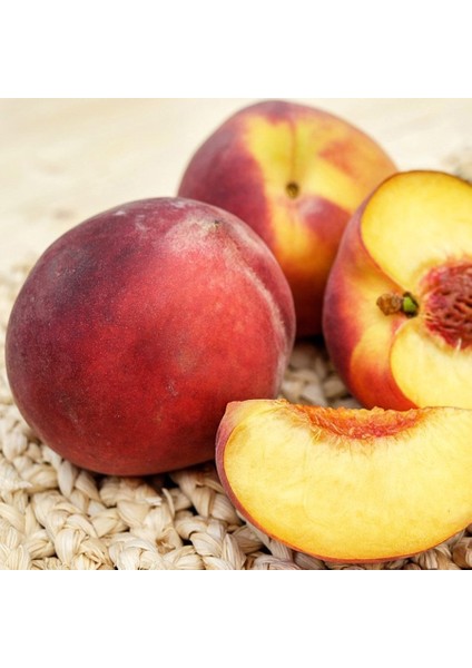 Tüplü Kokulu Bursa Yarma Şeftali Fidanı