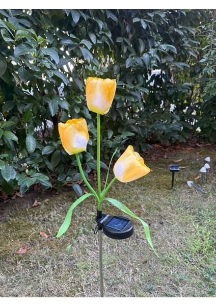 Güneş Enerjili 3 Kafalı Lale Işıkları Dış Mekan LED Aydınlatma Solar Tulip Lights fiyatları