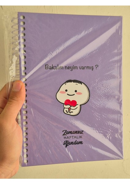 Zamansız Haftalık Stickerlı, Resimli, Renkli Spiralli Sert Kapak Ajanda 17X24 cm fiyatları