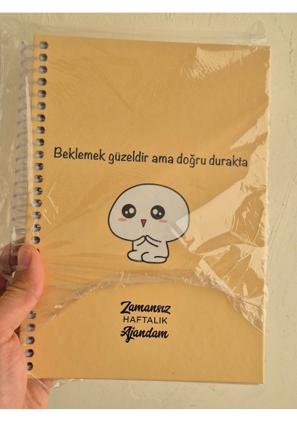 Zamansız Haftalık Stickerlı, Resimli, Renkli Spiralli Sert Kapak Ajanda 17X24 cm indirimleri