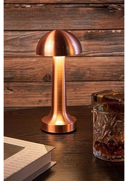 Rose Gold Dokunmatik Metal Masa Lambası – 3 Renk Ayarlı, Şarjlı, 8 Saat Işık Süresi Znlnht3, One Size