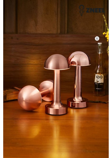 Rose Gold Dokunmatik Metal Masa Lambası – 3 Renk Ayarlı, Şarjlı, 8 Saat Işık Süresi Znlnht3, One Size fiyatları