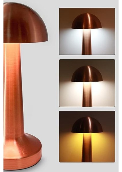 Rose Gold Dokunmatik Metal Masa Lambası – 3 Renk Ayarlı, Şarjlı, 8 Saat Işık Süresi Znlnht3, One Size