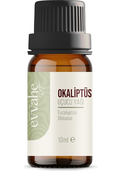 Okaliptus Yağı (10 ml)
