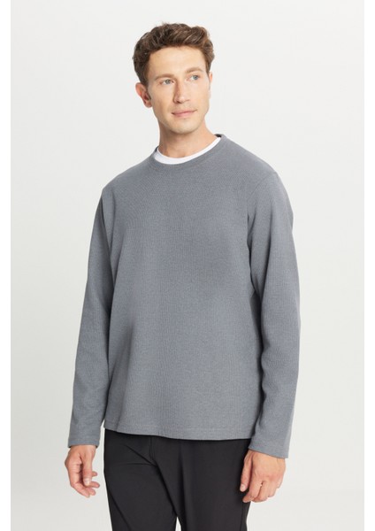 Pamuklu Standart Fit Normal Kesim Bisiklet Yaka Sweatshirt