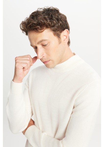 Standart Fit Normal Kesim Yarım Balıkçı Yaka Jakarlı Triko Kazak fırsatları