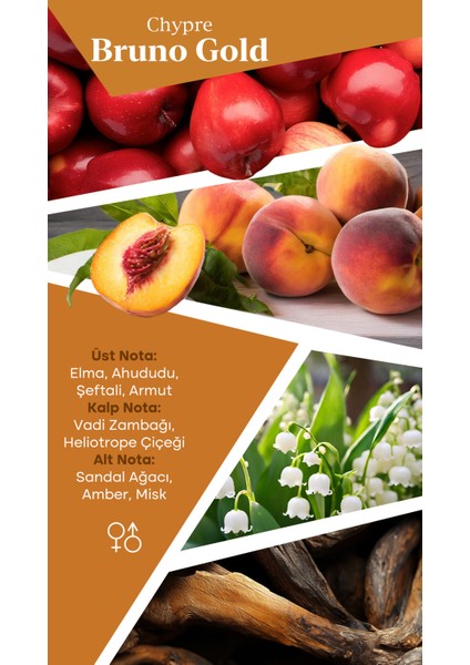 Bruno Gold 100 ml Unisex Parfüm fiyatları