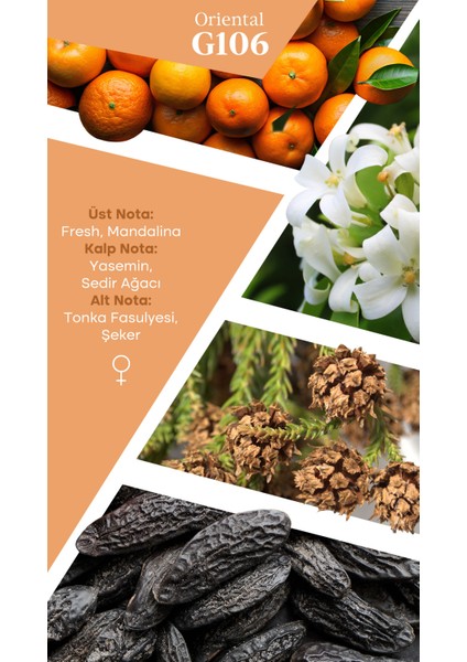 Mad G106 Selective 50 ml Kadın Parfüm fiyatları