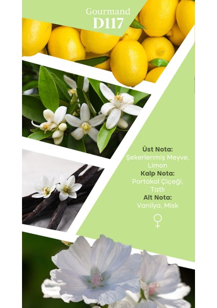 Mad D117 Selective 100 Ml Kadın Parfüm fırsatları