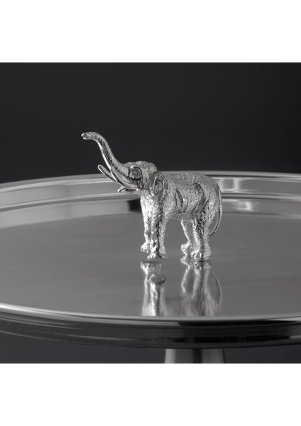 Ganesha Pasta Kek Gümüş Servis Tabağı fiyatları