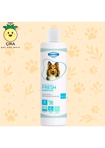 Biyo Dermacure Fresh Şampuan 250 ml