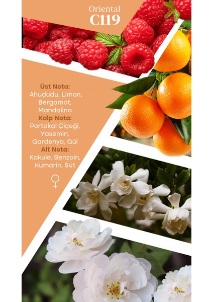 Mad C119 Selective 100 ml Kadın Parfüm fiyatları