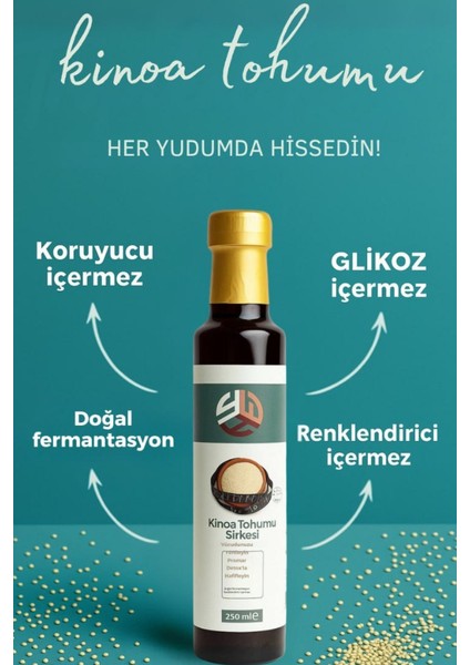 5li Lezzet Doğal Detox Sirkeleri 250 ml X5 Adet fırsatları