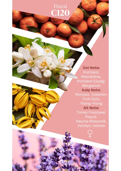 Mad C120 Selective 50 ml Kadın Parfüm fiyatları