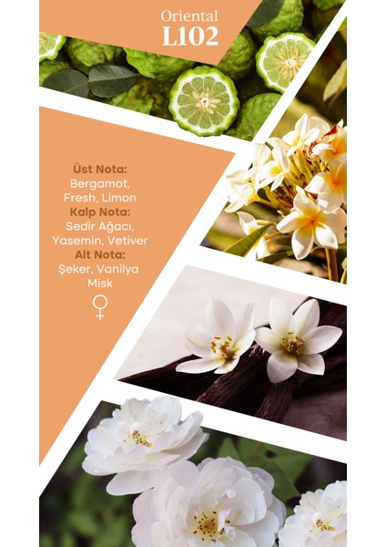 Mad L102 Selective 50 ml Kadın Parfüm fiyatları