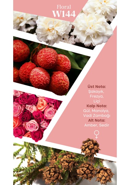 Mad W144 Selective 100 ml Kadın Parfüm fiyatları