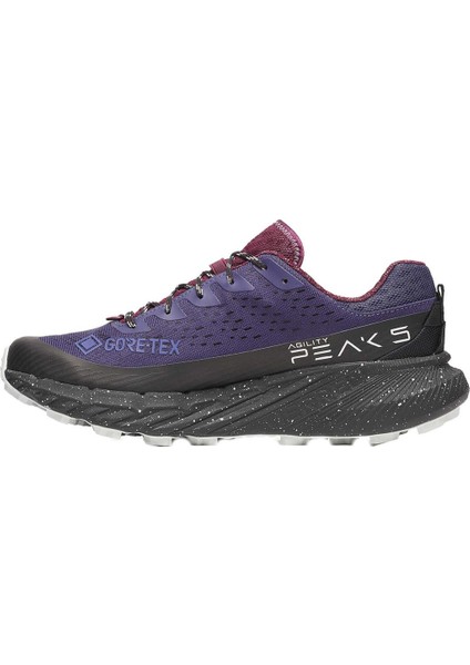 Agility Peak 5 Gore-Tex Kadın Ayakkabı fiyatları