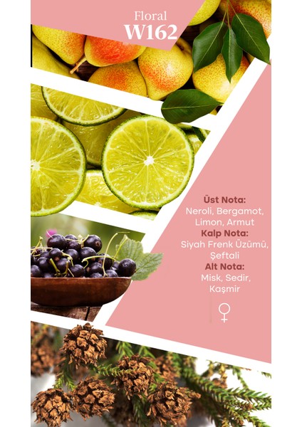 Mad W162 Selective 50 ml Kadın Parfüm fiyatları