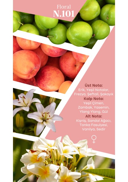 Mad N101 Selective 50 ml Kadın Parfüm modelleri