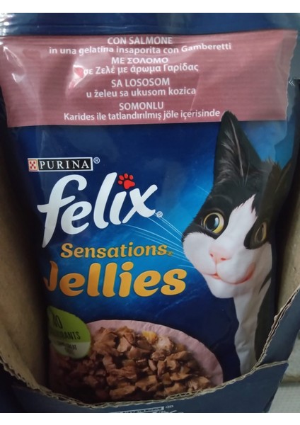 Felix Kedi Yaş Mama Somonlu 20 ADET fiyatları