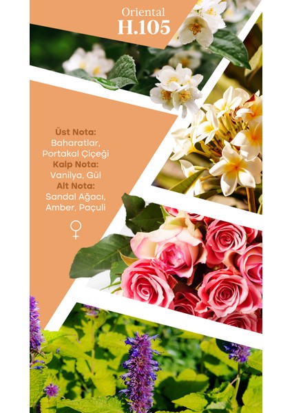 Mad H105 Selective 100 ml Kadın Parfüm fiyatları