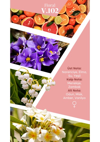 Mad V102 Selective 50 ml Kadın Parfüm fiyatları