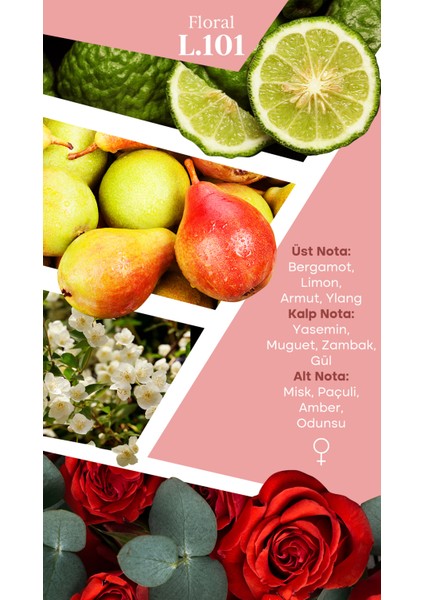 L101 50 ml Kadın Parfüm Parfüm fiyatları