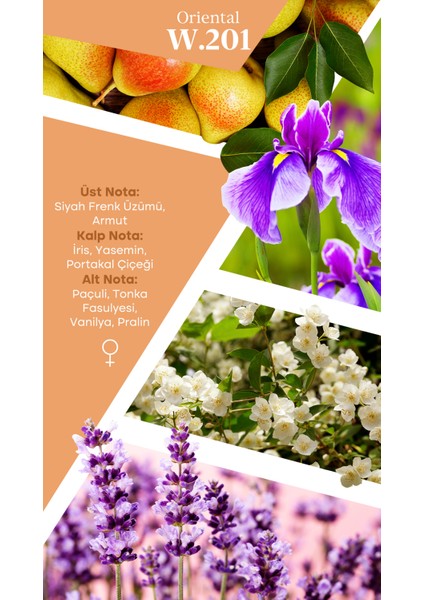 Mad W201 Selective 100 ml Kadın Parfüm fiyatları