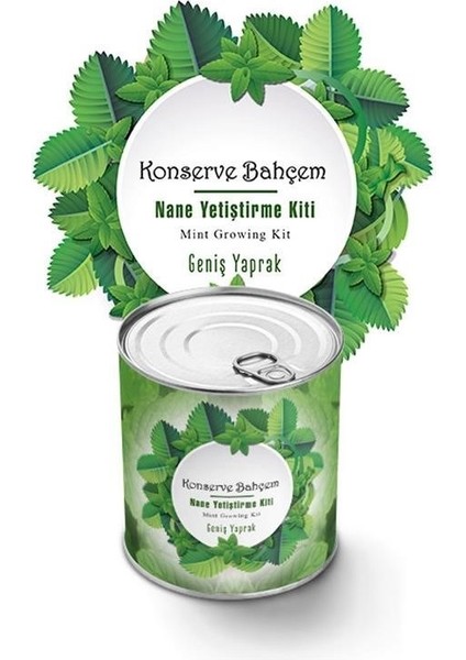 ® Konserve Bahçem Nane Yetiştirme Kiti fiyatları