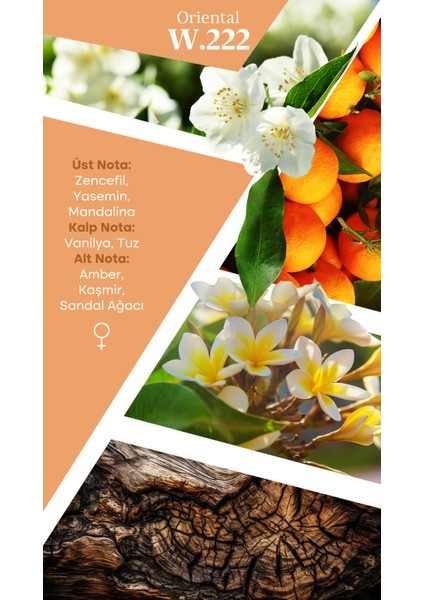 Mad W222 Selective 50 ml Kadın Parfüm fiyatları