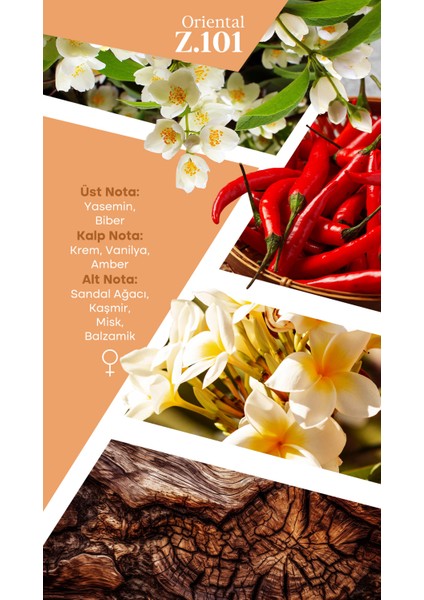 Mad Z101 Selective 50 ml Kadın Parfüm fırsatları