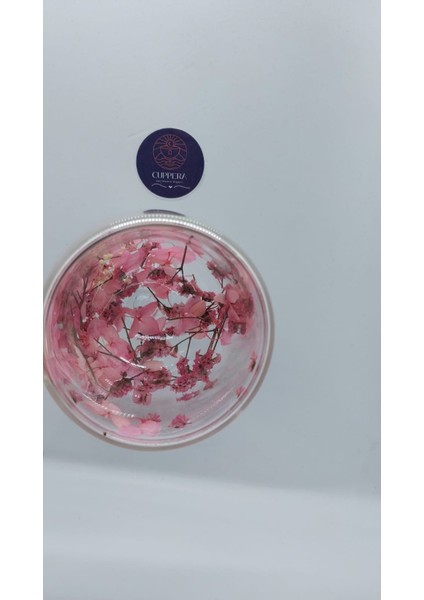 Isıya Dayanıklı Çift Cidarlı Canlı Kurutulmuş Çiçekli 250 ml indirimleri