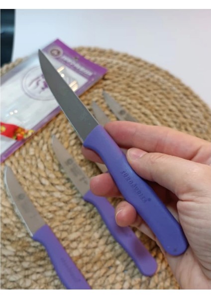 Sürdövbisa 61010 6'lı Meyve Seti (Sivri Uç ) Mor fırsatları