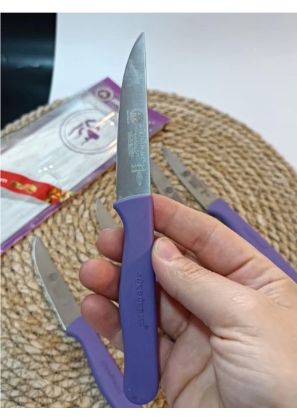 Sürdövbisa 61010 6'lı Meyve Seti (Sivri Uç ) Mor indirimleri