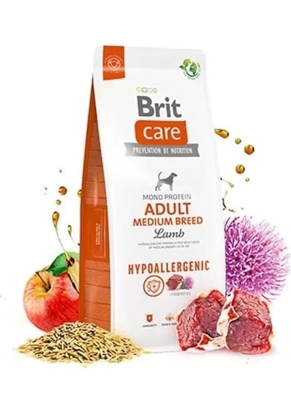 Brit Care Hypo-Allergenic Kuzu Etli Orta Irk Yetişkin Köpek Maması 12 kg fiyatları