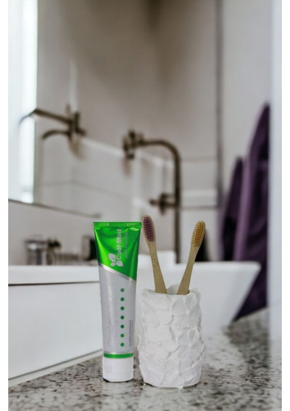 Diş Fırçası Kabı Diş Fırçalığı Fırçalık Siyah Renk Model 16