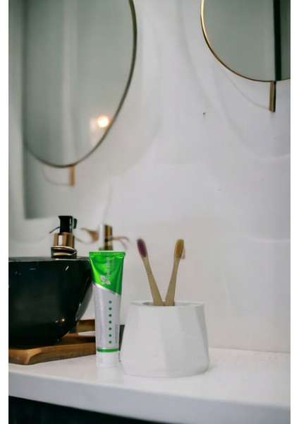 Diş Fırçası Kabı Diş Fırçalığı Fırçalık Altın Renk Model 17