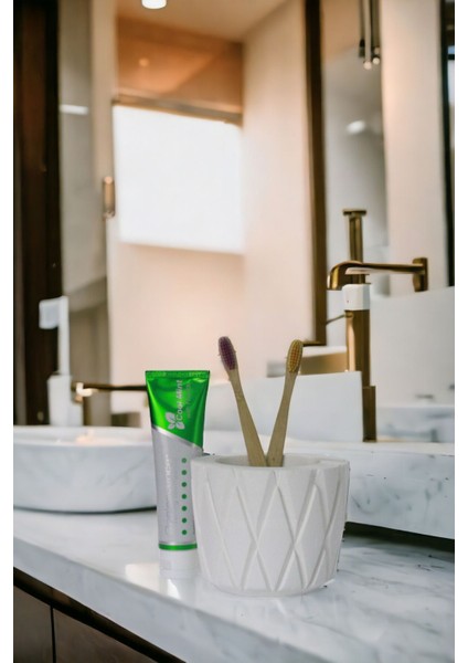 Diş Fırçası Kabı Diş Fırçalığı Fırçalık Siyah Renk Model 18