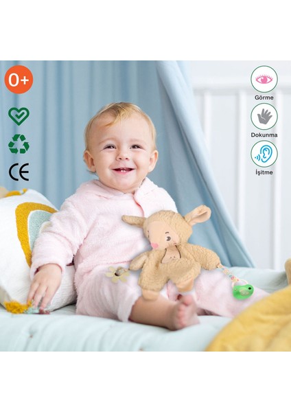 Oyun Arkadaşım Kuzu modelleri